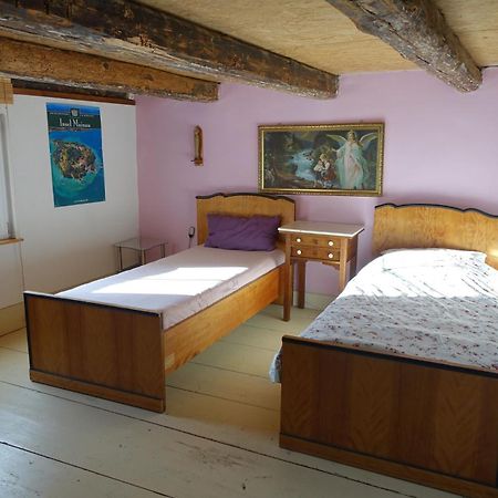 Ferienwohnung Fink Tengen Bagian luar foto