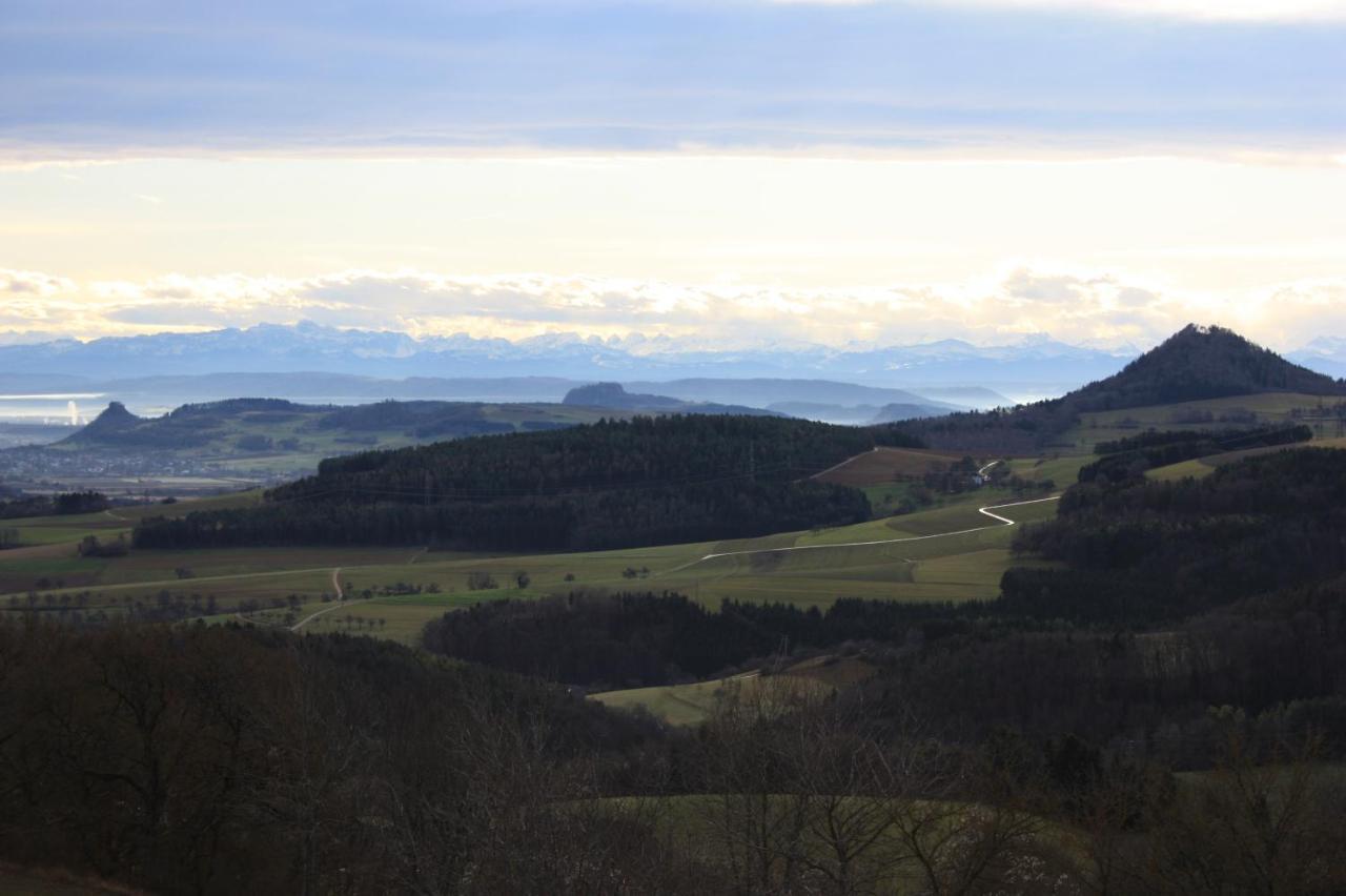 Ferienwohnung Fink Tengen Bagian luar foto